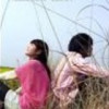 宁夏网友79544