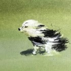 QQ头像