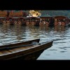 河北网友99528