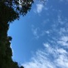 广东网友64966
