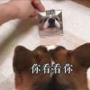 江西网友67559