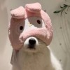 湖北网友24929