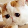 天津网友13376