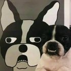QQ头像