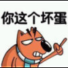 宁夏网友56618