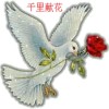 西藏网友25449
