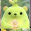 重庆网友74264