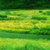 河北网友37702