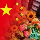 QQ头像
