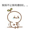 河南网友55404