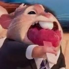 QQ头像