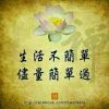 湖北网友57011