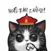 新疆网友92539