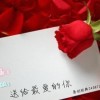辽宁网友13679