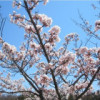 青海网友79602