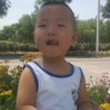 陕西网友17539
