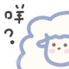 上海网友92359