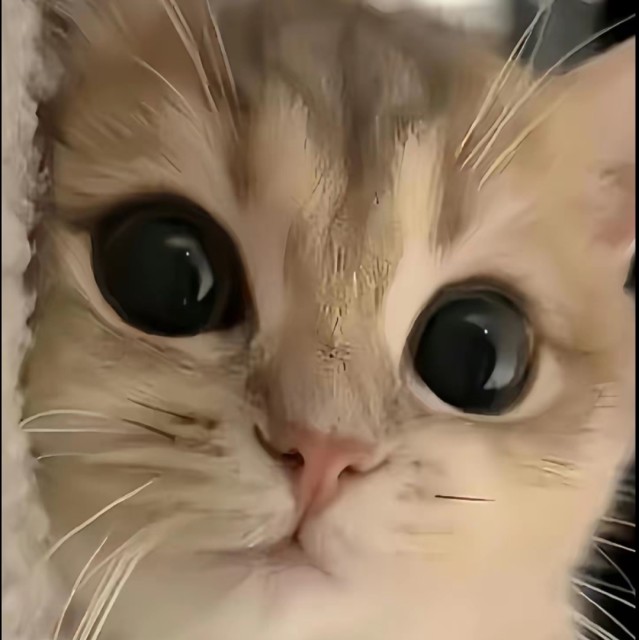 QQ邮箱头像