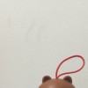 广东网友96652