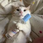 QQ头像