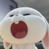 QQ12380681头像