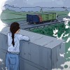 江苏网友18734
