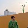 北京网友95884