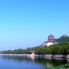 澳门网友74679