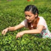 天津网友74901