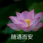 QQ头像