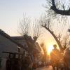福建网友76862