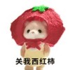 山东网友43842