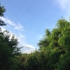 山西网友41365