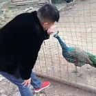 QQ头像