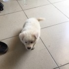 QQ头像