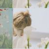 宁夏网友85256