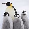 辽宁网友54189