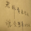 甘肃网友17025
