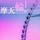 广东网友95503