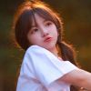 吉林网友70701