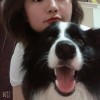 湖北网友45768