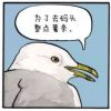 评论头像