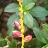 河北网友85245