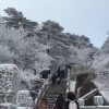 湖南网友54598