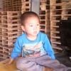 山东网友41293