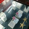 广东网友70070
