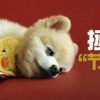 上海网友99594