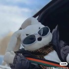 QQ头像