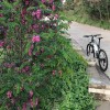 山东网友40672