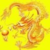 福建网友20005